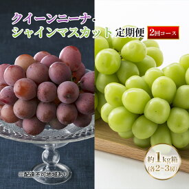 【ふるさと納税】【定期便】【2026年先行予約】 ぶどう 岡山県産 クイーンニーナ ・ シャインマスカット 1kg箱（各2～3房） 定期便 2回 《2026年9月上旬-10月下旬頃出荷》 葡萄 ブドウ 岡山県産 フルーツ 果物 数量限定　お届け：2026年9月上旬～2026年10月下旬