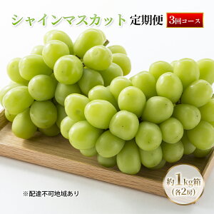 yӂ邳Ɣ[Łzyցzy2025Ns\z Ԃǂ RY VC}XJbg 1kgie2[j  3 s2025N10{-12{oׁt  uhE RY t[c ʕ ʌ
