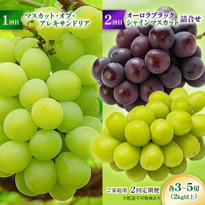 yӂ邳Ɣ[Łzy2026Ns\zƒpu }XJbg EIuE ALThA vu I[ubN E VC}XJbg ̋lv2 e3`5[(2kgȏ) t[c 