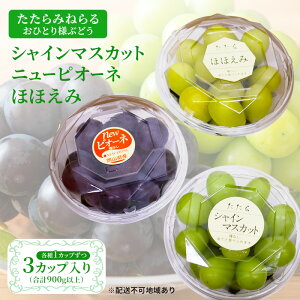 yӂ邳Ɣ[Łzy2026Ns\z Ԃǂ RY ݂˂ ATuJbv( VC}XJbg E قق E j[sI[l )3Jbv 900gȏs2026N8{-10{o