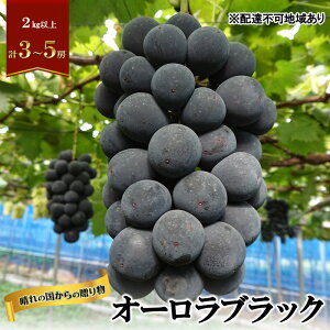 yӂ邳Ɣ[Łzy2026Ns\z Ԃǂ RY ̍ 蕨 I[ubN 2kgȏi3[`5[j s2026N8{-9{oׁt  t[c ʕ XC[c ʌ 