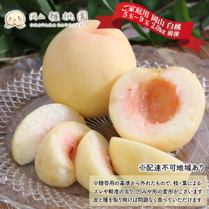yӂ邳Ɣ[Łz 2026N s\ ƒp R  5ʁ`9 2.0kg O  RY Y t[c ʕ 듍@͂F2026N7{`2026N8{