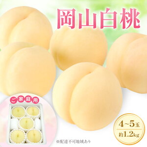 yӂ邳Ɣ[Łz 2026N s\ yƒpz R G[X 4`5 1.2kg (6{`7{oח\)@͂F2026N625`2026N731