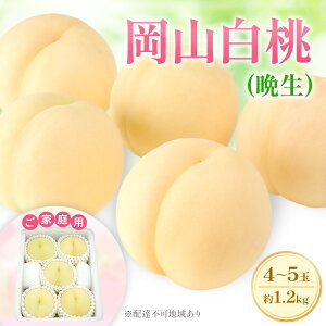 yӂ邳Ɣ[Łz 2026N s\ yƒpz R G[X (Ӑ) 4`5 1.2kg (8{`8{oח\)@͂F2026N810`2026N831