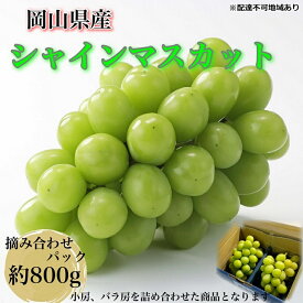 【ふるさと納税】ぶどう 2026年 先行予約 【平均糖度20度】農家こだわりの シャインマスカット ご家庭用パック 合計約800g ブドウ 葡萄 岡山県産 国産 フルーツ 果物 ギフト 【 Nini farm 農家 直送 】　お届け：2026年9月1日～2026年10月25日