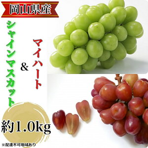 yӂ邳Ɣ[ŁzԂǂ 2026N s\ _Ƃ̃VC}XJbgn[g^̃}Cn[g v1.0kg uhE  RY Y t[c ʕ Mtg y Nini farm _  z@