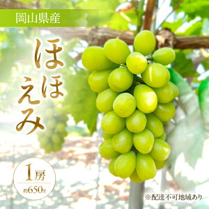 yӂ邳Ɣ[Łzy200zy2026Ns\z Ԃǂ RY 󏭕i قق 1[(650g) s2026N8{-9{oׁt  uhE t[c ʕ XC[c ʌ Ԍ 