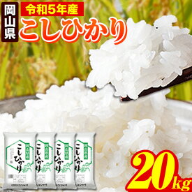 【ふるさと納税】令和5年産 岡山県のこしひかり 20kg 5kg×4袋 岡山県産 白米 精米 矢掛町《7-14営業日以内に出荷予定(土日祝除く)》 こしひかりコシヒカリ 米 コメ 令和5年産 送料無料