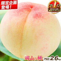 【ふるさと納税】【限定企画登場！】岡山県産 岡山の桃 約750g 約1.3...