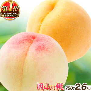 yӂ邳Ɣ[Łzy̐s\JnIzR̓ 750g 1.3kg 2.6kg  Iׂe ̕i    s6{-9{oׁt   t[c ʕ s\ ʌ 