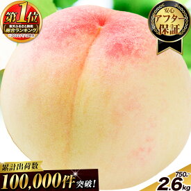 【ふるさと納税】【2026年発送先行予約開始！】岡山の桃 約750g 約1.3kg 2.6kg 定期便 選べる内容量 桃の品種 桃 白桃 黄桃 《6月下旬-9月下旬頃出荷》 白桃 黄桃 フルーツ 果物 先行予約 数量限定 岡山 矢掛町 桃 モモ もも 清水白桃 白鳳 送料無料 高レビュー黄金桃