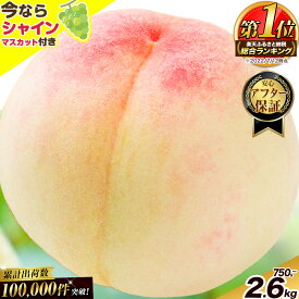 【ふるさと納税】【2026年発送先行予約開始！】岡山の桃 約750g 約1.3kg 2.6kg 定期便 選べる内容量 桃の品種 桃 白桃 黄桃 《6月下旬-9月下旬頃出荷》 白桃 黄桃 フルーツ 果物 先行予約 数量限定 岡山 矢掛町 桃 モモ もも 清水白桃 白鳳 送料無料 高レビュー黄金桃