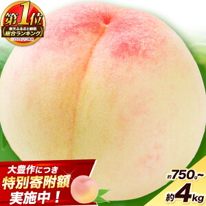 【ふるさと納税】総合1位！ 【限定企画受付中】 岡山の桃 選べる内容量《最...