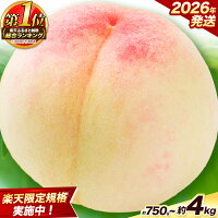 【ふるさと納税】＼総合1位／今なら『今年』お届け! 岡山の桃 選べる内容量...