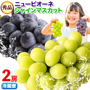 yӂ邳Ɣ[ŁzRY Gi VC}XJbg j[sI[l lߍ킹 1.2kg 2[  ʕ Io XC[c t[c fU[g R|s9{`11{ɏoח\(