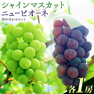 yӂ邳Ɣ[ŁzRY j[sI[l VC}XJbg Ԃǂlߍ킹 lߍ킹 1.2kg 2[  ʕ 󂠂 Di Io XC[c t[c fU[g R|s9{