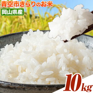 yӂ邳Ɣ[Łzߘa7NY s Iׂe 5kg 10kg RY (i͂Iт܂) ss30ȓɔ\(yj)tR |    R