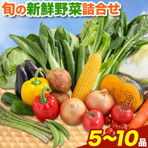 yӂ邳Ɣ[Łz{̐VN؋lߍ킹Zbg 5`10iړ ss30ȓɏoח\tR |  ؋lߍ킹 g}g イ AXpKX ʂ˂ [L 