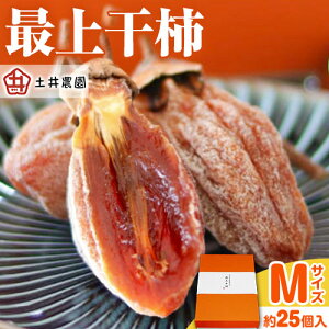 yӂ邳Ɣ[Łzŏ㊱` MTCY 900g(25) y_ s12{1{ɏoח\(yj)t`  ` ʕ t[c hCt[c َq  R |