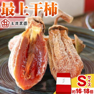 yӂ邳Ɣ[Łzŏ㊱` STCY 500g(16`18) y_ s12{1{ɏoח\(yj)t`  ` ʕ t[c hCt[c َq  R 