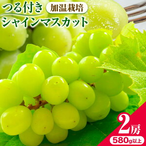 yӂ邳Ɣ[Łzys\z RY IׂI t VC}XJbg 1[ (680gȏ) 2[ (580gȏ) yzsn悠z so׎Iтt R | }XJbg 