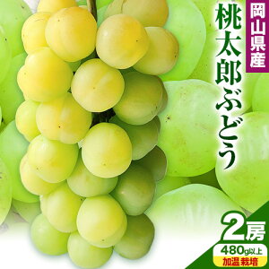 yӂ邳Ɣ[Łzys\zRY YԂǂ Iׂ 1[ (680gȏ) 2[ (480gȏ) ͔| ͔|yzsn悠z͔|s7{-8ɏoח\(yj)t 