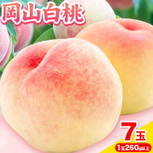 yӂ邳Ɣ[Łzys\zRY R Iׂ 6 (240gȏ) 7 (260gȏ) 8 (220gȏ) yzsn悠z s7{-8{ɏoח\(yj)t R |  