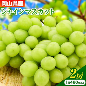 yӂ邳Ɣ[Łzys\z RY VC}XJbg 2[ (480gȏ) yzsn悠z s7{-8{ɏoח\(yj)t R | }XJbg Ԃǂ  ʕ 