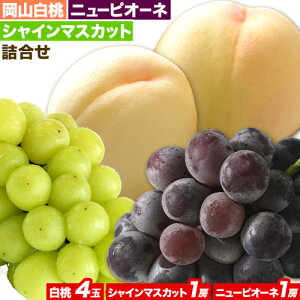 yӂ邳Ɣ[Łzys\z R & VC}XJbgij& j[sI[l Zbgyzsn悠z C VC}XJbg 1[ j[sI[l 1[s7{-8