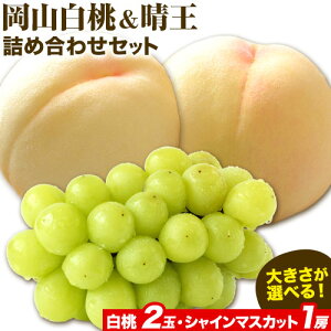 yӂ邳Ɣ[Łzys\zR & VC}XJbgijZbgyzsn悠z s7{-8ɏoח\(yj)t R |    R VC