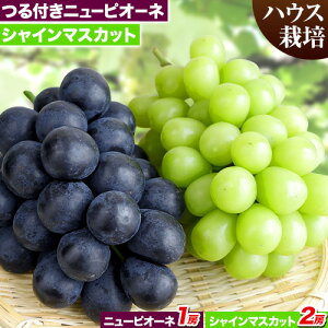 yӂ邳Ɣ[Łz ys\z RY tIj[sI[l & VC}XJbg Zbg nEX͔| eʂIׂIyzsn悠zj[sI[l VC}XJbgs