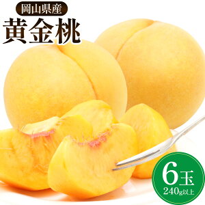 �y�ӂ邳�Ɣ[�Łz ���R���Y ������ 6��(240g�ȏ�)�s9����{-9�����{���ɏo�ח\��t ���R ���� ���R�� ��|�� ���� �� ���� �ʕ� �X�C�[�c �t���[�c �f�U�[�g