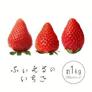 yӂ邳Ɣ[Łz ͕P  gق 1kg(250g×4P) ӂs1{`4{oח\tR |Y  ʕ t[c ӂ