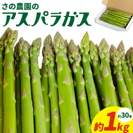 【ふるさと納税】アスパラガス 約 1kg 約 30本 M-2L 野菜 さの農園 岡山県産《4月上旬-10月中旬頃出荷》サラダ アスパラ アスパラベーコン 岡山県 矢掛町