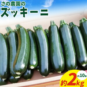 yӂ邳Ɣ[Łzys\zYbL[j  2kg  10{ O  ̔_s2026N4{-7{oׁtRY Z  R |