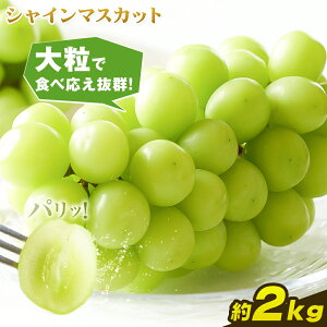 yӂ邳Ɣ[ŁzRY VC}XJbg 2kg |Grape Fairiess9{-10oׁtR |  }XJbg ʕ XC[c t[c fU[g