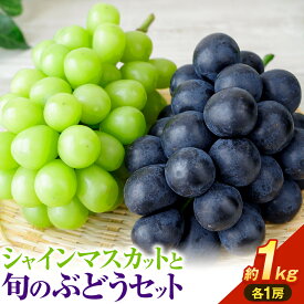 【ふるさと納税】【2026年発送】シャインマスカット ぶどう 岡山県産 シャインマスカットと旬のぶどうセット 約1kg 2房 Grapes garden goat《2026年8月中旬〜10月上旬頃に出荷予定(土日祝除く)》岡山県矢掛町 葡萄 果物 優品 スイーツ フルーツ デザート