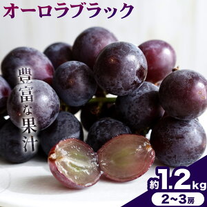 yӂ邳Ɣ[Łzy2026Ns\zƒp RY I[ubN 1.2kg 2-3[ ̍܊ s2026N9{-9{oׁtR |  Ԃǂ ʕ XC[c t[
