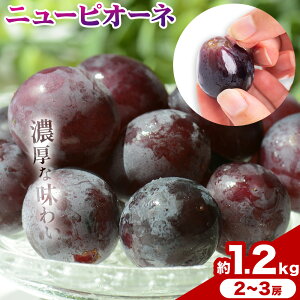 yӂ邳Ɣ[Łzƒp RY j[sI[l 1.2kg 2-3[ ̍܊ s9{-10{oׁtR |  Ԃǂ ʕ XC[c t[c fU[gyzsn悠