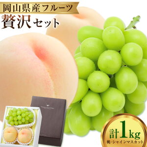 yӂ邳Ɣ[Łz EVC}XJbglߍ킹 1kg N[ ①    uhE ԂǂVC}XJbg }XJbg t[c Zbg s\ ̍܊ s8