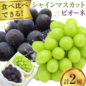 yӂ邳Ɣ[Łzy2026Ns\zVC}XJbgEsI[llߍ킹 1.0kg }XJbg  uhE Ԃǂ sI[l t[c Zbg ̍܊ s2026N8{-9