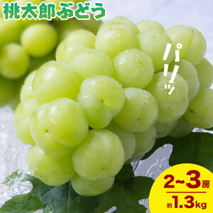 yӂ邳Ɣ[Łzy2026Ns\zRY YԂǂ 1.3kg 2[-3[ ̍܊ s2026N9{-9{oׁtR |  Ԃǂ ʕ XC[c t[c fU[g