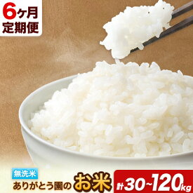 【ふるさと納税】【6ヶ月定期便】 令和7年産 米 岡山県産 ありがとう園のお米 無洗米 選べる 5kg 10kg 15kg 20kg ありがとう園《お申込み月の翌月から出荷開始》岡山県 矢掛町 無洗米 米 コメ 定期便 定期 きぬむすめ ひのひかり