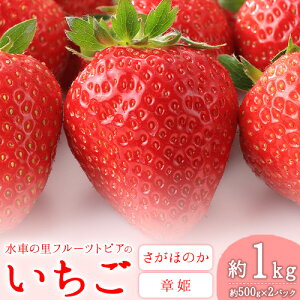 yӂ邳Ɣ[Łz ₩  Mtg Zbg(ق̂E͕P) 1kg(500g×2P)s1{-2oׁtԂ̗t[cgsAR|Y  ʕ t[c