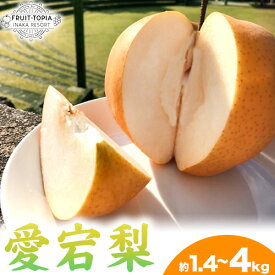 【ふるさと納税】 【2026年発送先行予約】 産地直送 愛宕梨 約1.4kg 約4kg (4~6玉前後) 水車の里フルーツトピア 期間限定 岡山県矢掛町産 なし 果物 スイーツ フルーツ デザート《2026年12月上旬-2月上旬頃出荷》 梨