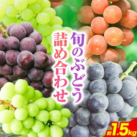 【ふるさと納税】 【先行予約】 産地直送 旬のぶどう詰め合わせセット 約1.5kg 水車の里フルーツトピア 期間限定 岡山県 矢掛町 葡萄 果物 スイーツ フルーツ デザート《9月上旬-9月末頃出荷》