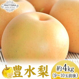 【ふるさと納税】 【先行予約】 産地直送 豊水梨 約4kg (9~10玉前後) 水車の里フルーツトピア 期間限定 岡山県矢掛町産 なし 果物 スイーツ フルーツ デザート《9月上旬-10月上旬頃出荷》