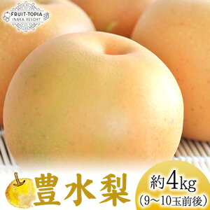 �y�ӂ邳�Ɣ[�Łz �y��s�\��z �Y�n���� �L���� ��4kg (9~10�ʑO��) ���Ԃ̗��t���[�c�g�s�A ���Ԍ��� ���R����|���Y �Ȃ� �ʕ� �X�C�[�c �t���[�c �f�U�[�g�s9����{-10����{���o�ׁt