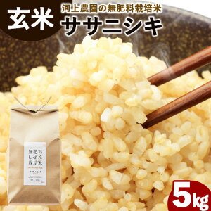 yӂ邳Ɣ[Łz엿͔|TTjVL  5kg(5kg×1) ͏_ R|s30ȓɏoח\(yj)t _Ew엿sgp  R 