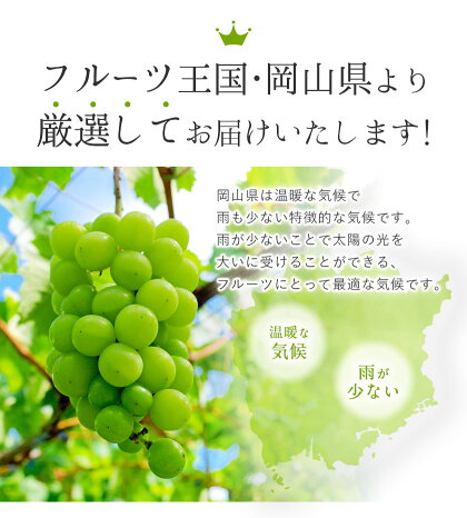 アイテムID:667912の画像2枚目